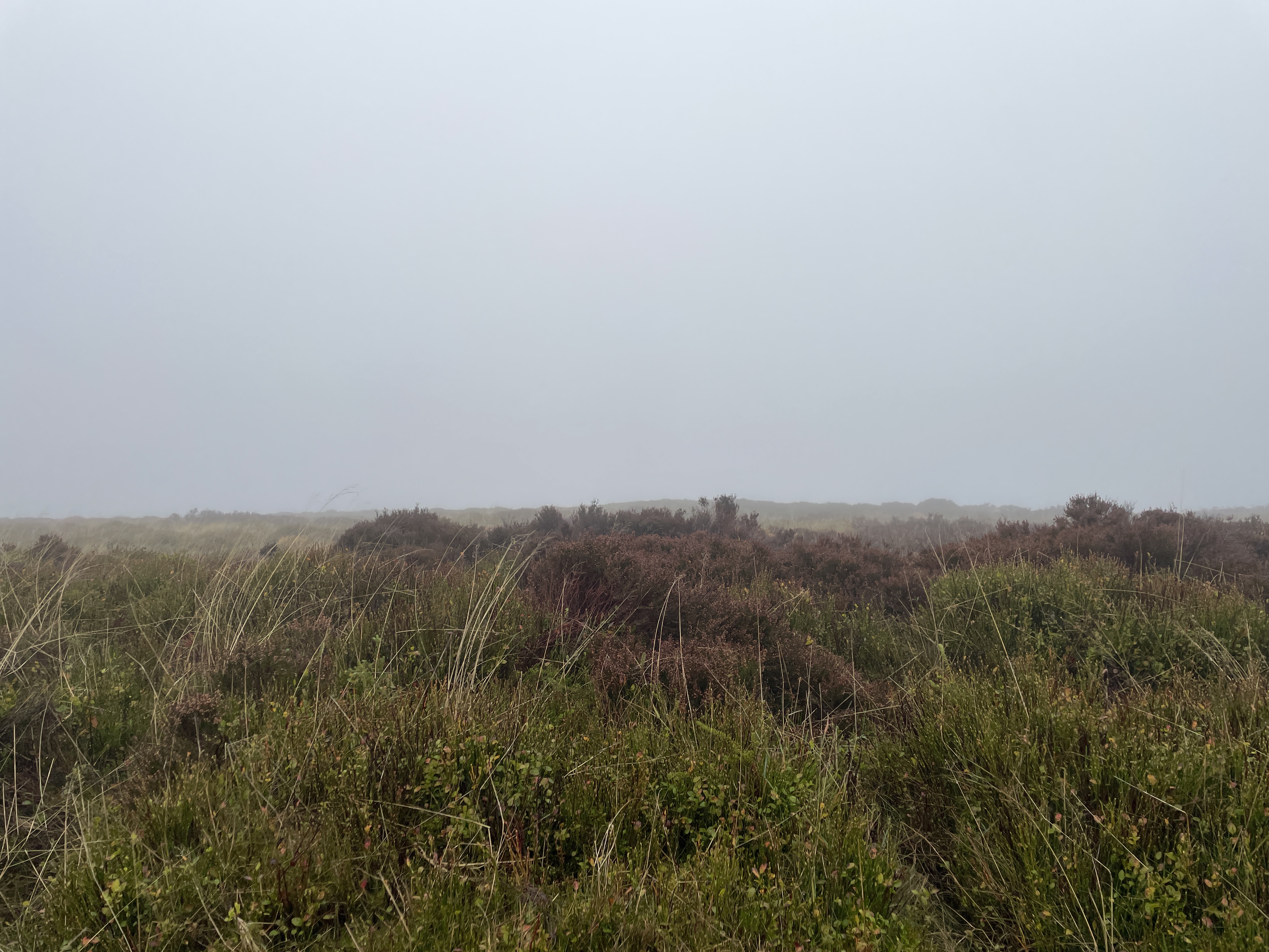 Weather FM — image placeholder 1